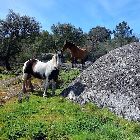 Magic Nature Lodge Marvão エクステリア 写真