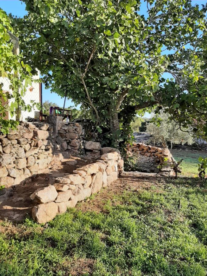 Magic Nature Lodge Marvão エクステリア 写真