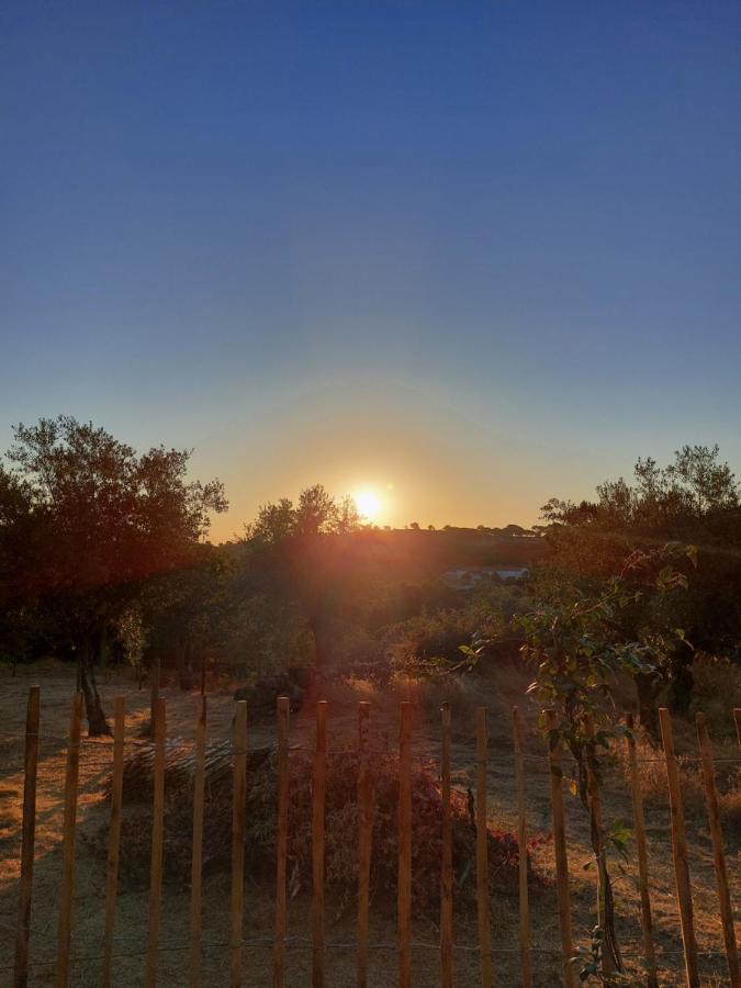 Magic Nature Lodge Marvão エクステリア 写真