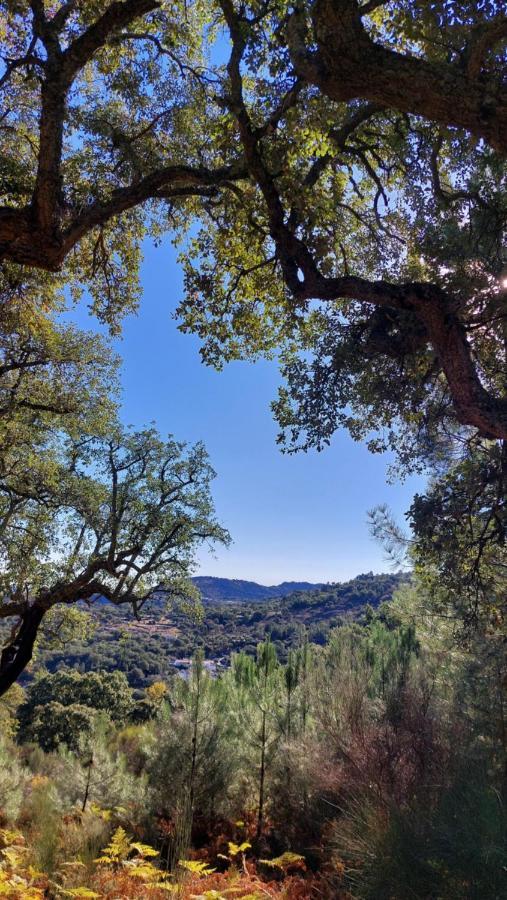 Magic Nature Lodge Marvão エクステリア 写真