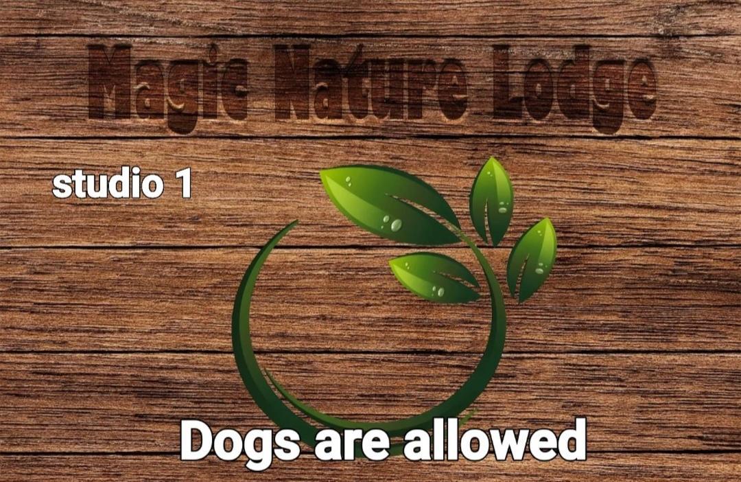 Magic Nature Lodge Marvão 部屋 写真
